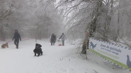 Vosges :&nbsp;des accompagnateurs de montagne apprennent aux randonneurs à cohabiter avec la&nbsp;nature (France 2)