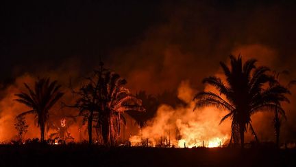 Un incendie dans la forêt amazonienne le 10 septembre 2019 près Itaituba, au Brésil. (NELSON ALMEIDA / AFP)