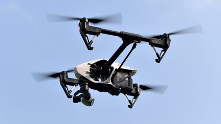 &nbsp; (Un drone a été repéré au-dessus de l'Elysée © MAXPPP)