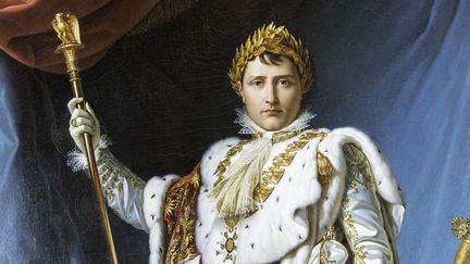 Napoléon Bonaparte, musée des Beaux Arts d'Ajaccio, par le baron François Gérard (LEMAIRE STEPHANE / HEMIS.FR)