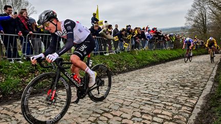 Tadej Pogacar s'envole sur le Tour des Flandres, devant Mathieu van der Poel et Wout van Aert, le 2 avril 2023. (DIRK WAEM / BELGA MAG)