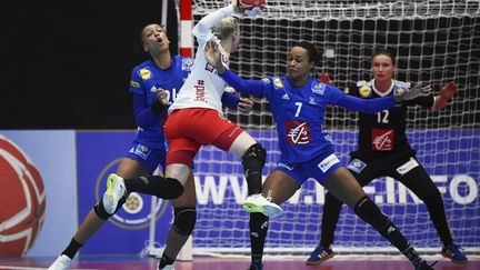 L'Euro 2020 de handball féminin devait se tenir en Norvège et au Danemark, du 3 au 20 décembre 2020. (CHARLY TRIBALLEAU / AFP)