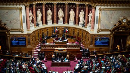 L'hémicycle du Sénat, lors d'une séance de questions d'actualité au gouvernement, le 10 mai 2023. (XOSE BOUZAS / HANS LUCAS / AFP)