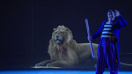 Cirque : l'Écocirque Bouglione remplace ses animaux par des hologrammes