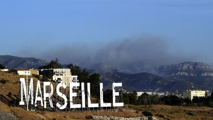 Incendie dans le&nbsp;Massif des Calanques à Marseille le 5 septembre 2016 (BORIS HORVAT / AFP)