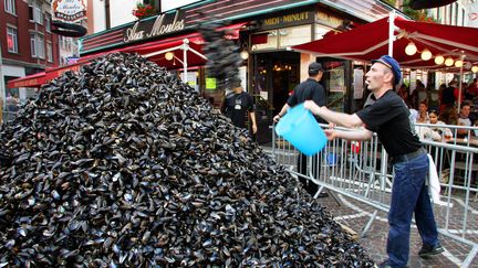 Une montagne de coques de moules à Lille en septembre 2004. (PHILIPPE HUGUEN / AFP)