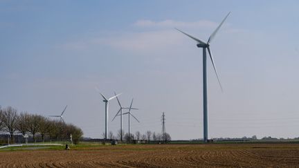 Un parc éolien situé entre Abbeville et Epagne-Epagnette, dans la Somme, le 4 avril 2021. (AMAURY CORNU / HANS LUCAS / AFP)