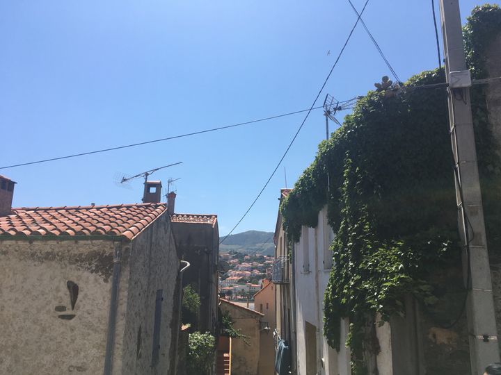 Dans le village de Banyuls-sur-Mer. (INGRID POHU / RADIO FRANCE)