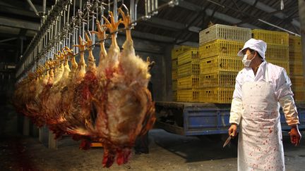 Un employ&eacute; chinois abat des poulets dans un abattoir de Pudong, dans la r&eacute;gion de Shangha&iuml;, le 12 avril 2013.&nbsp; (ZHANG RUIIQI / IMAGECHINA / AFP)