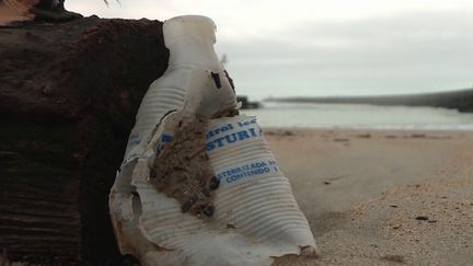 Trois ONG s'attaquent à neuf géants de l'agroalimentaire pour lutter contre la pollution plastique.&nbsp;Selon elles, ces enseignes n’appliquent pas le plan de vigilance obligatoire depuis 2017&nbsp;ayant pour but de&nbsp;limiter au maximum l’utilisation du plastique. (FRANCE 3)