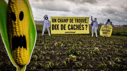  (Pierre Baelen Greenpeace)