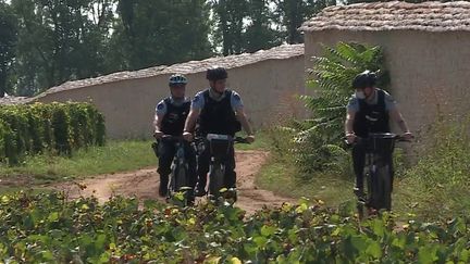 12/13 : Bourgogne : les gendarmes de la région surveillent les vignes des grands domaines