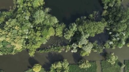 Déconfinement : à la découverte des canaux de Saint-Omer