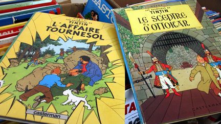 Albums de Tintin dans une librairie de Thionville
 (Julio Pelaez / PhotoPQR / Le Républicain Lorrain / MaxPPP)