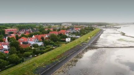 Pays-Bas : l'île de Vlieland, un écrin de verdure en mer du Nord