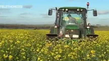 L'agriculture de conservation préserve les sols