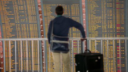 Un passager regarde le tableau de départ des avions dans l'aéroport de Roissy Charles-de-Gaulle (Val d'Oise). (FRED DUFOUR / AFP)