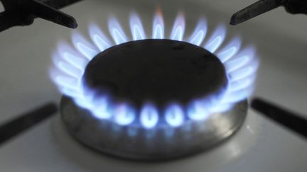 Le prix du gaz pour les particuliers augmentera de 2% &agrave; partir du 1er octobre 2012. (JOHANNA LEGUERRE / AFP)