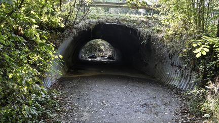 A Villefontaine (Isère), a proximité du lieu où le corps de Victorine Dartois a été découvert, le 28 septembre 2020. (PHILIPPE DESMAZES / AFP)