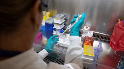 Une chercheure travaille dans un laboratoire d'oncologie à Vitry-Sur-Seine, près de Paris, le 9 septembre 2022. (THOMAS SAMSON / AFP)