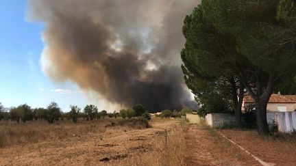 Un feu impressionnant est en cours sur la commune d'Aubais dans le Gard, le 31 juillet 2022. (Isabelle Bris / FTV)