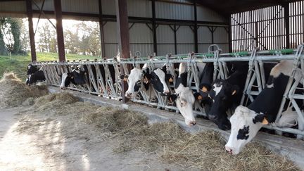 La ferme de Jean-Philippe Guines, en&nbsp;Ille-et-Vilaine. (ETIENNE MONIN)