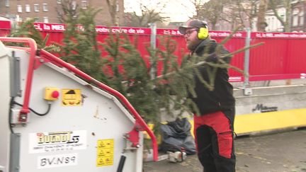 La ville de Lille propose 17 points de collecte pour les sapins jusqu'au 26 janvier 2025. (FTV)