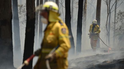 Des pompiers en Australie luttent contre les flammes.&nbsp; (PETER PARKS / AFP)