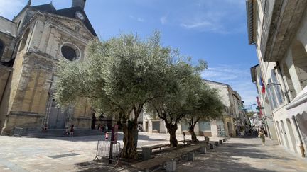 Une place du centre-ville de Dax (Landes), le 19 août 2023. (NATHALIE GUIRONNET / HANS LUCAS / AFP)