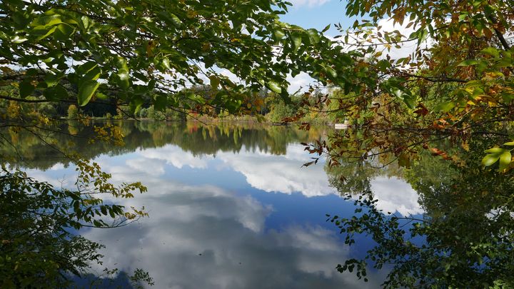 Dans les environs du musée Cranbrook. La nature est partout ici. (Photo Emmanuel Langlois / franceinfo)