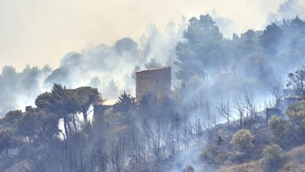 Un feu s'est déclaré entre Banyuls-sur-mer et Cerbère (Pyrénées-Orientales), le 16 avril 2023. (CHRISTOPHE BARREAU / MAXPPP)