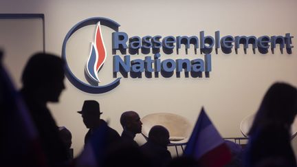 Le logo du rassemblement national. Photo d'illustration. (VINCENT ISORE / MAXPPP)