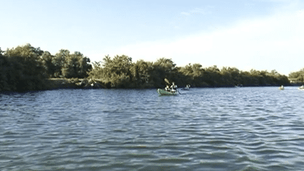 À la découverte de l'Etang de l'Or