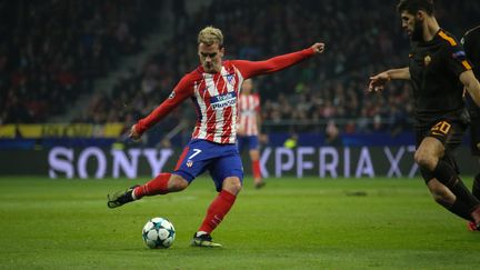 L'attaquant d'Atlético Madrid Antoine Griezmann lors du match en Ligue des champions face à l'AS Rome, le 22 novembre 2017 à Madrid (Espagne).&nbsp; (ALBERTO BREVERS / CITIZENSIDE / AFP)