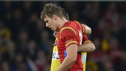 Liam Williams, soutenu pour quitter le terrain