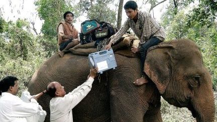 Les machines électroniques de vote sont transportées à travers l'Inde, à dos d'éléphant, pour atteindre les 800 millions d'électeurs. Nortap, le 4 avril 2014. (AFP)