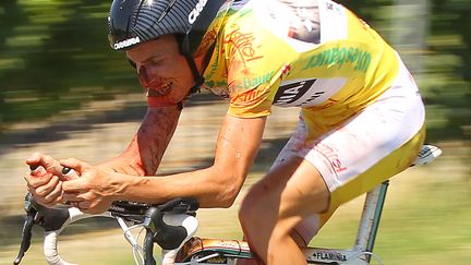 Le cycliste italien Riccardo Ricco apr&egrave;s s'&ecirc;tre bless&eacute; sur le tour d'Autriche &agrave; Podersdorf, le 10 juillet 2010.&nbsp; (X01771 / REUTERS)