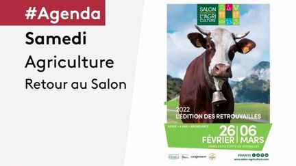 Agenda de la semaine : le Salon de l'Agriculture ouvre ses portes samedi 26 février