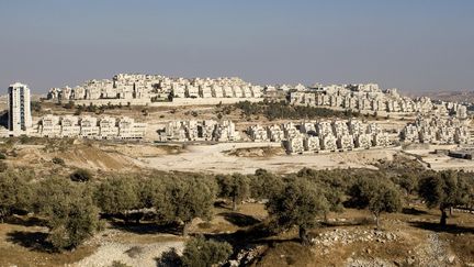 La colonie israélienne de Har Homa, à Jérusalem-Est, le 29 août 2010. (AHMAD GHARABLI / AFP)