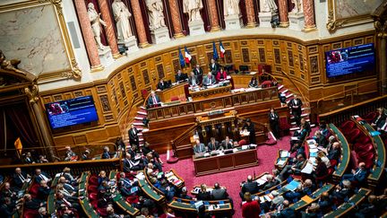 Le Sénat, le 25 janvier 2023. (XOSE BOUZAS / HANS LUCAS / AFP)