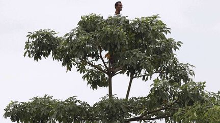 Un villageois tente d'apercevoir un rhinoc&eacute;ros depuis le haut d'un arbre &agrave; Rani Chapori (Inde), le 2 octobre 2012. (ANUPAM NATH / AP / SIPA)