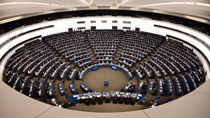 Le Parlement européen a voté pour gel temporéaire des négociations d'adhésion de la Turquie à l'Union européenne, à Strasbourg le 24 novembre 2016.
 (FREDERICK FLORIN / AFP)