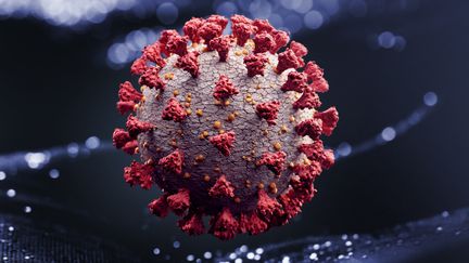 C'est quoi un virus ? (RADOSLAV  ZILINSKY / MOMENT RF)