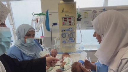 Guerre entre Israël et le Hamas : 31 bébés prématurés évacués de l'hôpital al-Chifa de Gaza