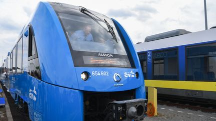 Le premier train à hydrogène d'Alstom, à la gare de&nbsp;Bremervoerde, en Allemagne, le 16 septembre 2018. (PATRIK STOLLARZ / AFP)