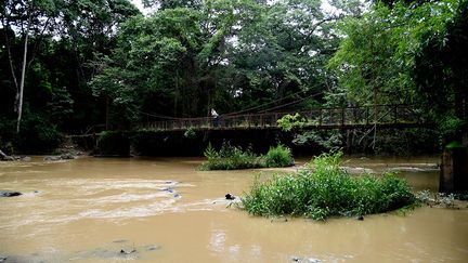 La forêt est traversée par une rivière où, selon les croyances des Yorubas, vit la déesse Osun, l’une des plus populaires et des plus vénérées des divinités orishas, qui représentent les forces de la nature. Au cœur de la végétation, de nombreux sanctuaires, deux palais, cinq lieux saints et neuf lieux de culte ont été disposés tout au long des rives. Ces quarante dernières années, de multiples sculptures et œuvres d’art ont été érigées en l’honneur de la déesse.&nbsp; &nbsp; &nbsp; &nbsp; &nbsp; (PIUS UTOMI EKPEI / AFP)