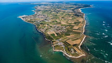 Patrimoine : à la découverte des murs de l'île d'Oléron