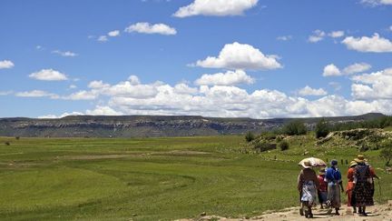 Le Lesotho est déjà un grand producteur de cannabis... illicite. (Ben LANGDON / Robert Harding Premium)