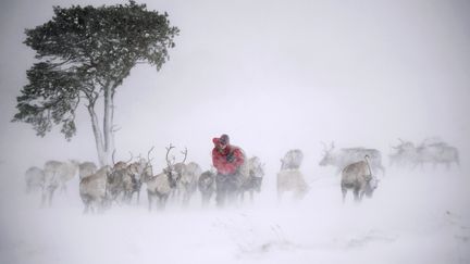 &nbsp; (JEFF J MITCHELL / GETTY IMAGES EUROPE)