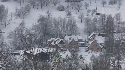 Vague de froid : l'Alsace s'organise face aux températures polaires